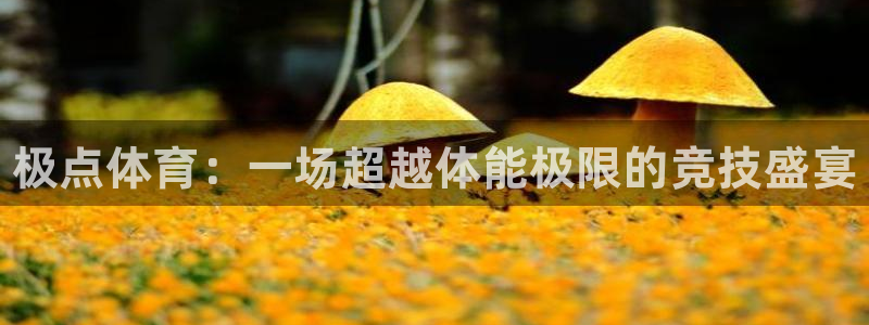 谈球吧体育官网：极点体育：一场超越体能极限的竞技盛宴