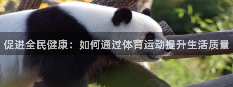 谈球吧体育：促进全民健康：如何通过体育运动提升生活质量