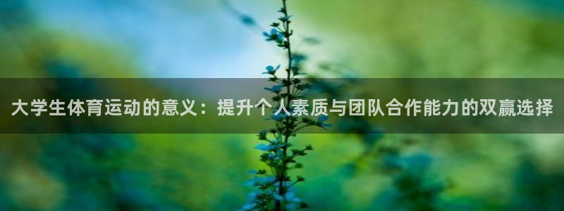 谈球吧体育：大学生体育运动的意义：提升个人素质与团队合作能力的双赢选择