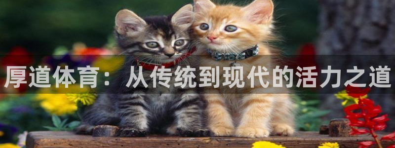 谈球吧体育官网：厚道体育：从传统到现代的活力之道