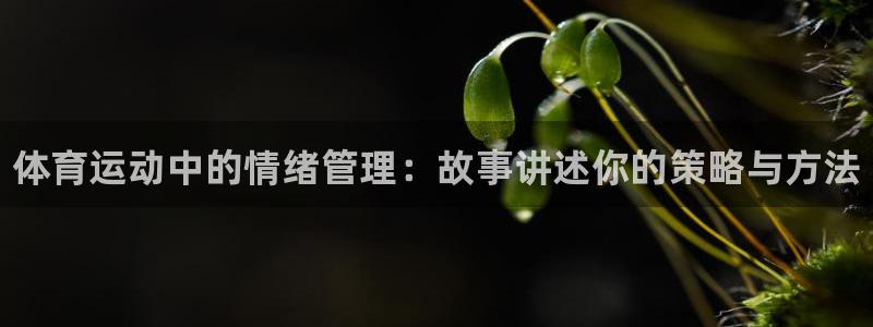谈球吧：体育运动中的情绪管理：故事讲述你的策略与方法