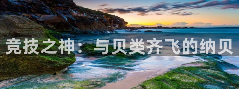 谈球吧体育：竞技之神：与贝类齐飞的纳贝