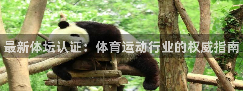 谈球吧体育官网：最新体坛认证：体育运动行业的权威指南