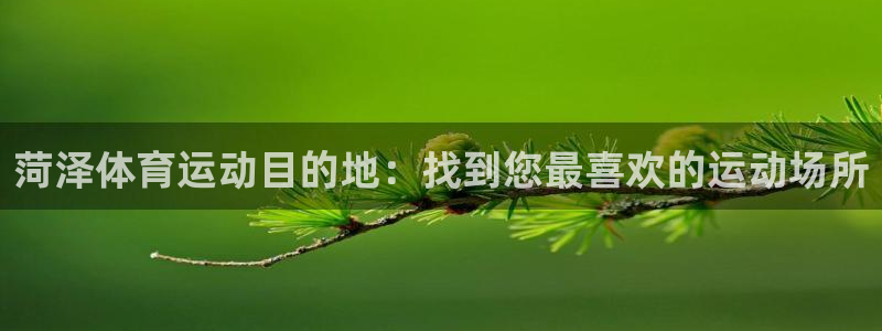 谈球吧体育官网：菏泽体育运动目的地：找到您最喜欢的运动场所