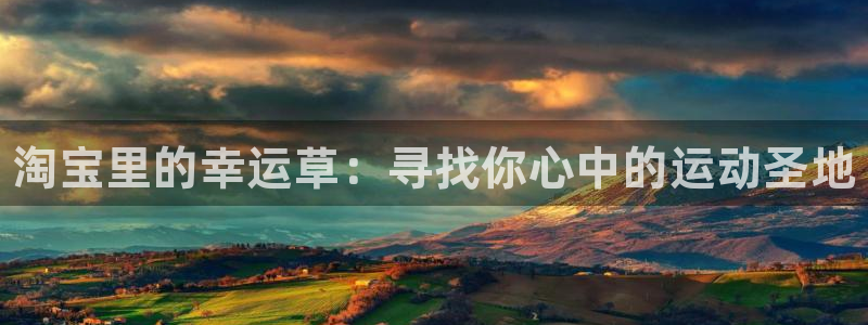 谈球吧体育官网：淘宝里的幸运草：寻找你心中的运动圣地