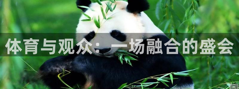 谈球吧体育